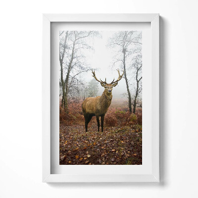 Tablou rama decorativ Cerbi în pădure în toamnă