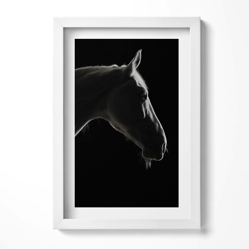 Tablou rama decorativ Cap de cal pe fundal negru