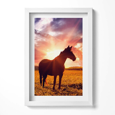 Tablou living cu rama decorativ Un cal pe un câmp la apus