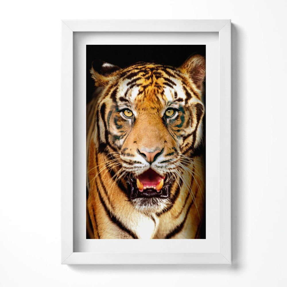 Tablou rama decorativ O pisică tigru sălbatică distinctivă