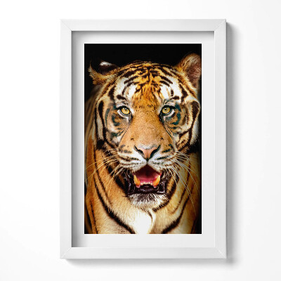 Tablou rama decorativ O pisică tigru sălbatică distinctivă