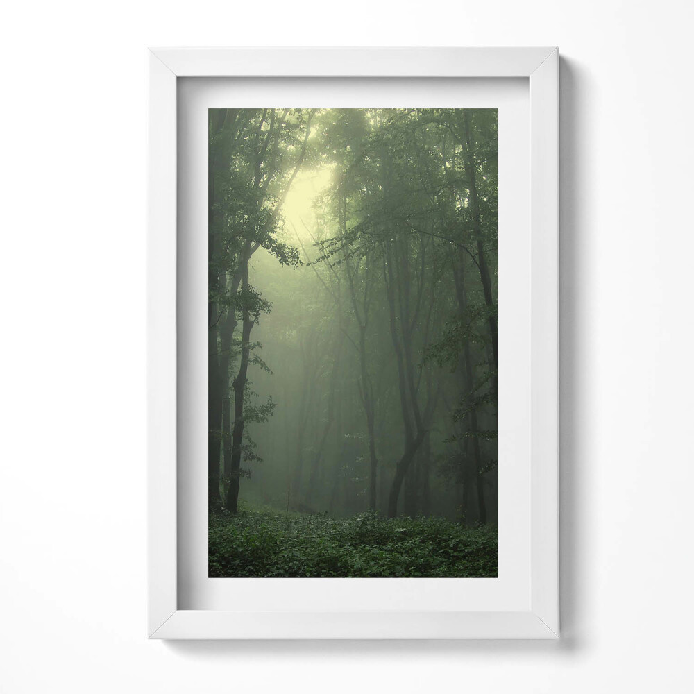 Tablou rama decorativ Pădurea încețoșată dimineața