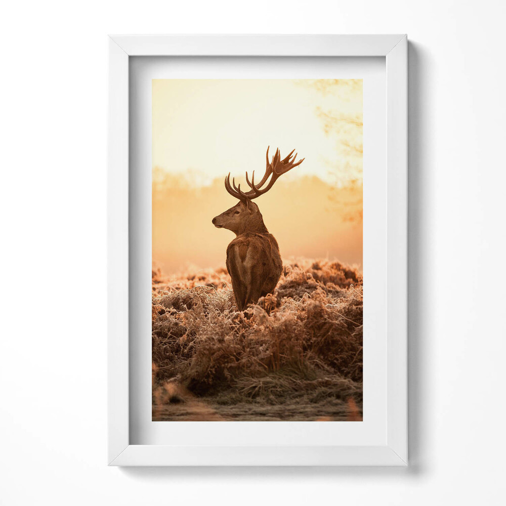 Tablou rama decorativ Cerb la răsărit