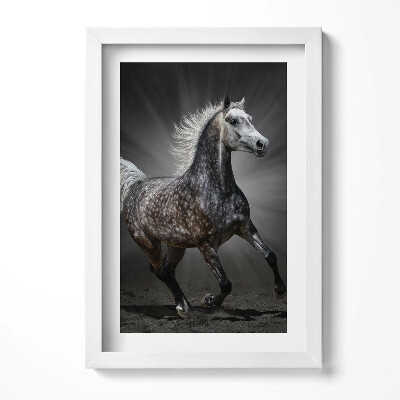 Tablou living cu rama decorativ Calul galopant
