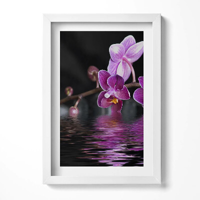 Tablou living cu rama decorativ Orhidee roz pe apă