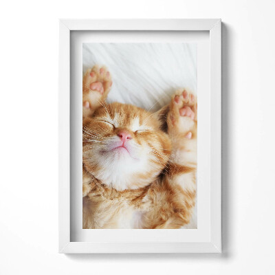 Tablou rama decorativ Pisicuță adormită