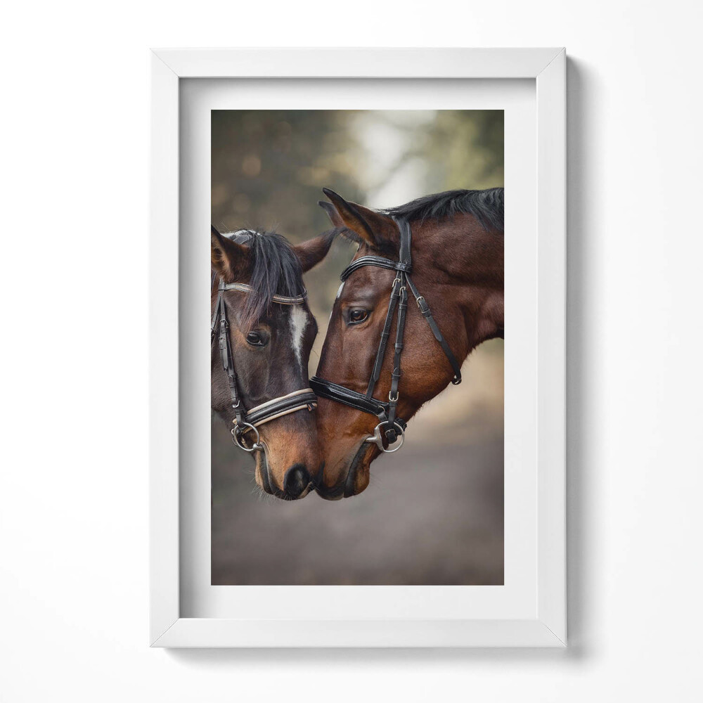 Tablou living cu rama decorativ Portret de cai în pădure