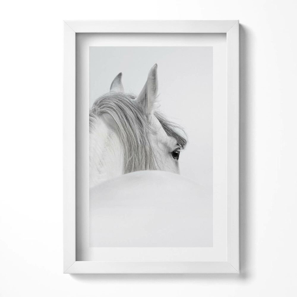 Tablou living cu rama decorativ Cal andaluz în ceață