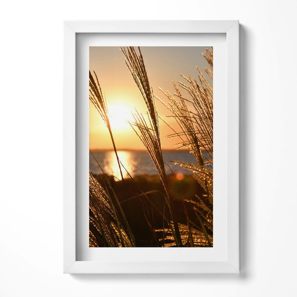 Tablou living cu rama decorativ Grâul în ora de aur