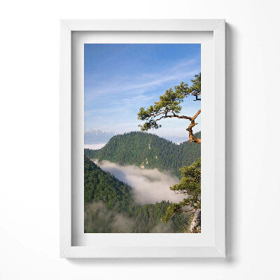 Tablou living cu rama decorativ Vârful Sokolica din Munții Pieniny