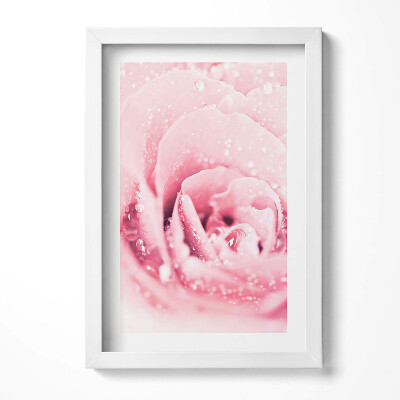 Tablou rama decorativ Floare roz delicată