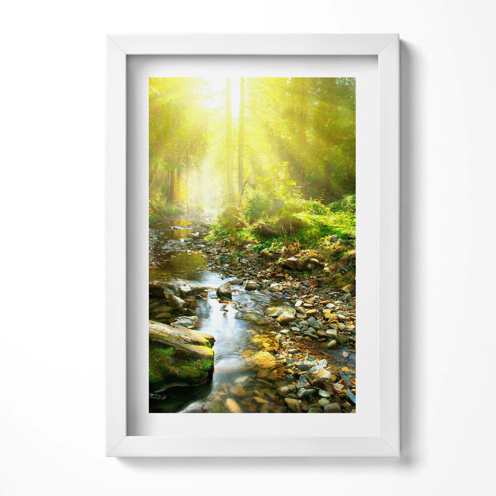 Tablou living cu rama decorativ Pârâu de pădure în razele soarelui