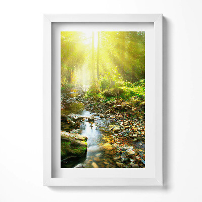 Tablou living cu rama decorativ Pârâu de pădure în razele soarelui