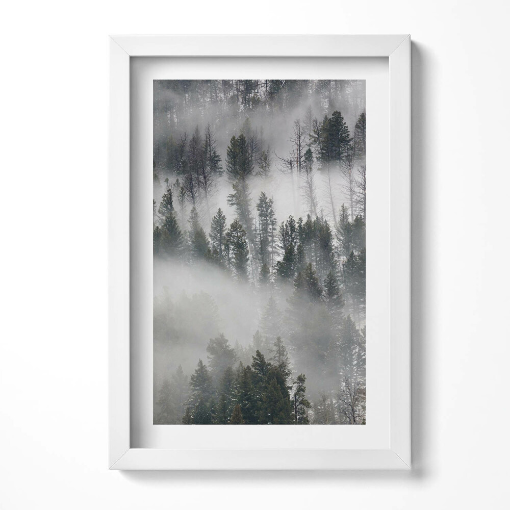 Tablou rama decorativ Peisaj de pădure cețos