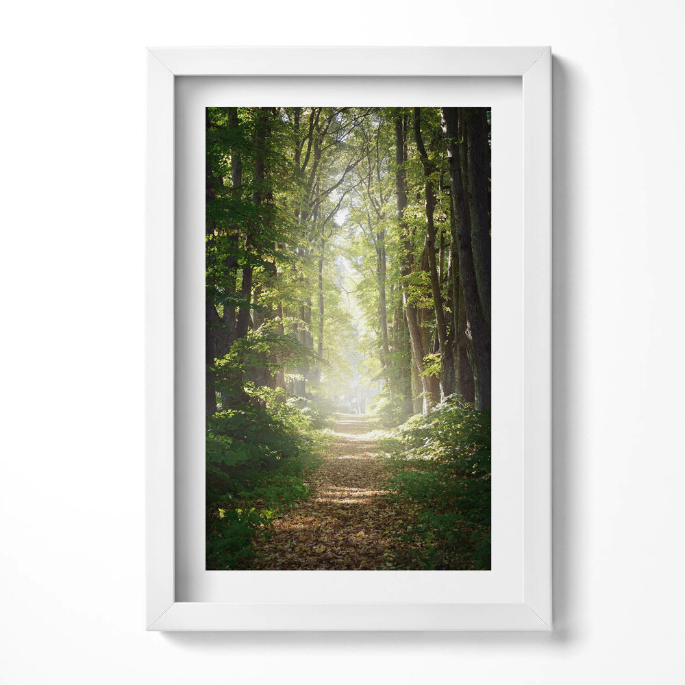 Tablou living cu rama decorativ Drum forestier printre copaci