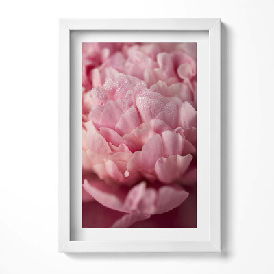 Tablou living cu rama decorativ Petale delicate de flori