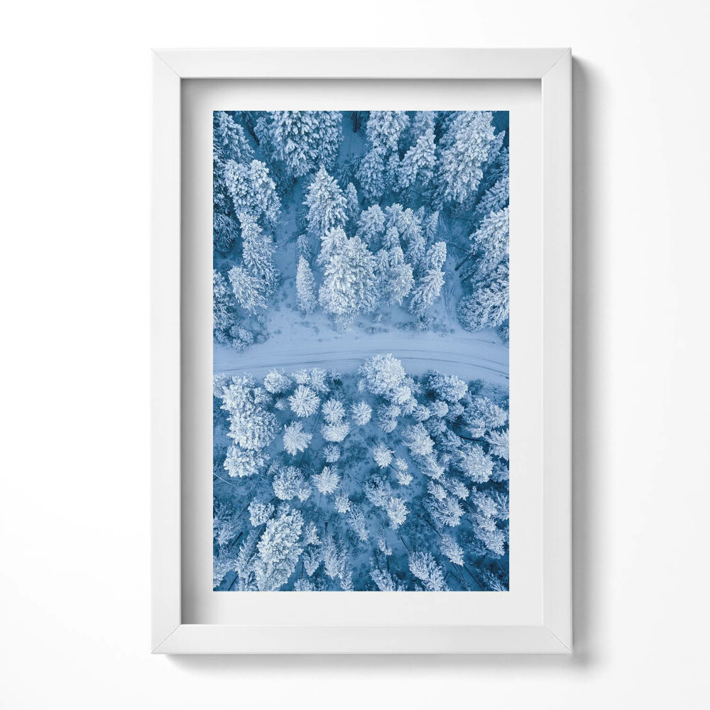 Tablou living cu rama decorativ Pădurea din vedere dinspre o pasăre, cu dronă