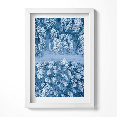 Tablou living cu rama decorativ Pădurea din vedere dinspre o pasăre, cu dronă