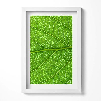 Tablou rama decorativ Venele frunzelor verzi