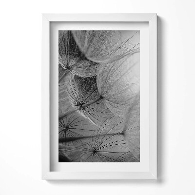 Tablou rama decorativ Prim-plan alb-negru al unei păpădii