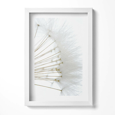 Tablou living cu rama decorativ Păpădii albe