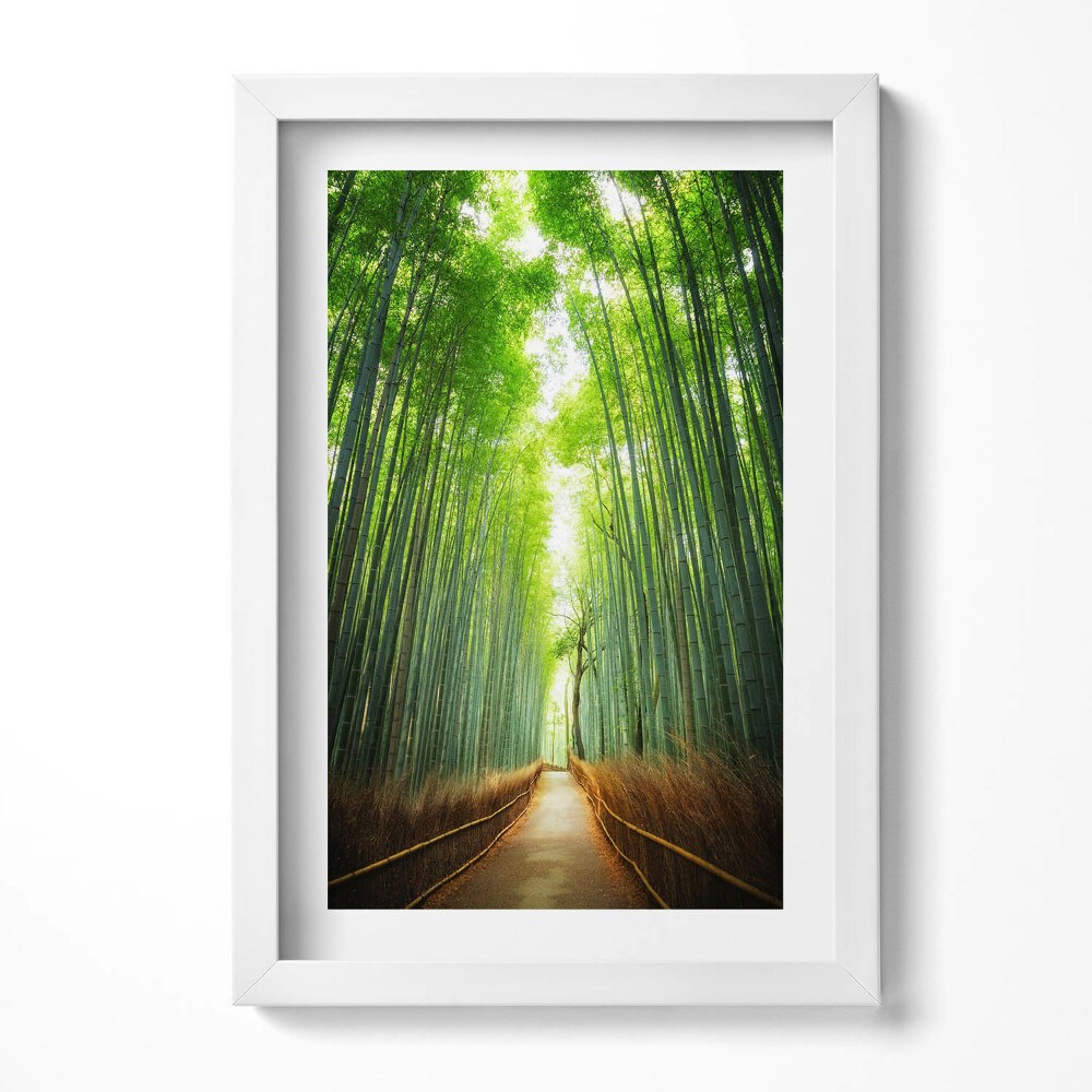 Tablou living cu rama decorativ Pădurea de bambus Arashiyama Kyoto Japonia