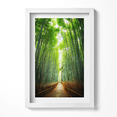 Tablou living cu rama decorativ Pădurea de bambus Arashiyama Kyoto Japonia