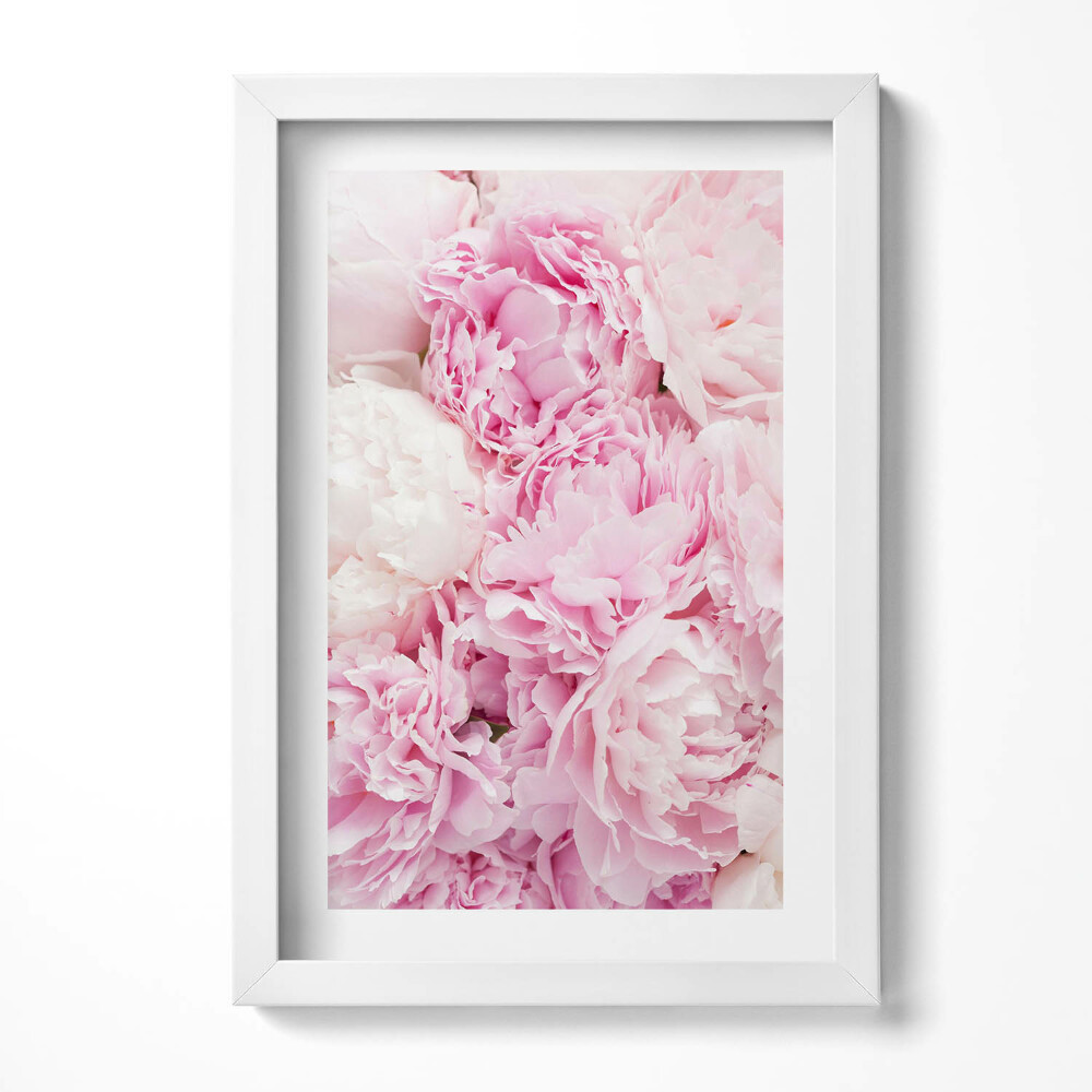 Tablou living cu rama decorativ Bujori cu flori delicate