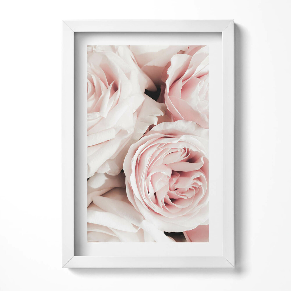 Tablou rama decorativ Flori roz pal trandafiri delicati