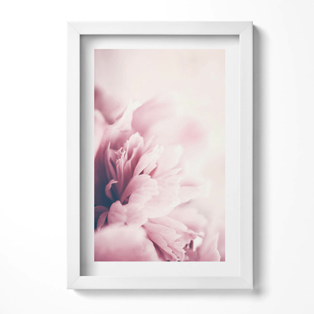 Tablou rama decorativ Prim-plan al petalelor de bujor