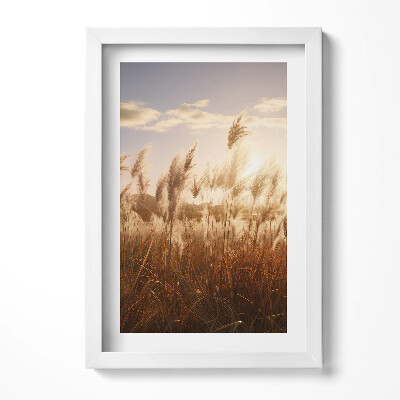 Tablou rama decorativ Apus de soare romantic peste iarbă