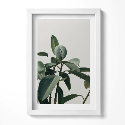 Tablou living cu rama decorativ Stil minimalist de plantă verde