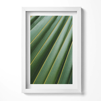 Tablou rama decorativ Textură de plantă verde