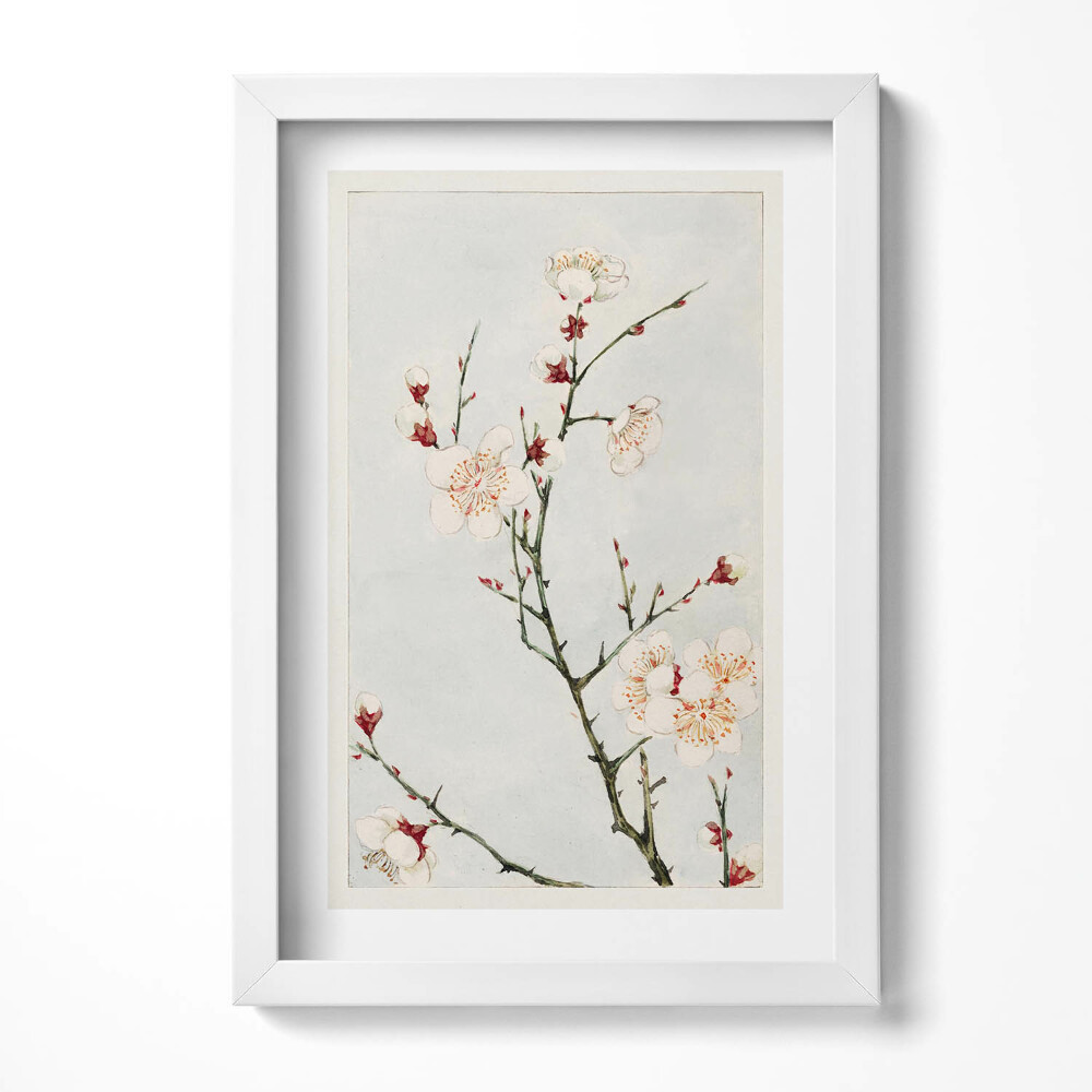 Tablou living cu rama decorativ Ilustrație minimalistă a unei ramuri cu flori