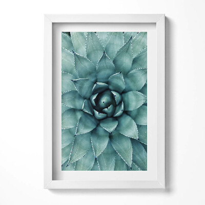 Tablou rama decorativ Plantă suculentă verde