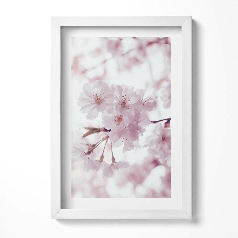 Tablou rama decorativ Flori delicate de culoare roz pal