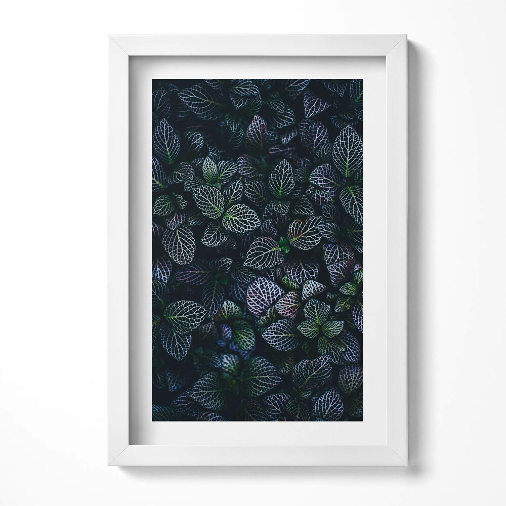 Tablou rama decorativ Frunze sălbatice întunecate