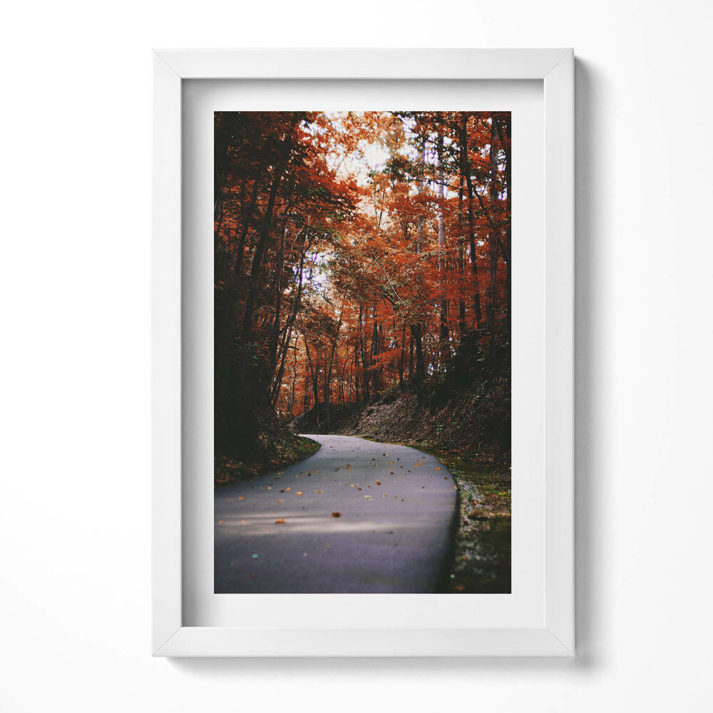 Tablou rama decorativ Drum gol în pădurea de toamnă