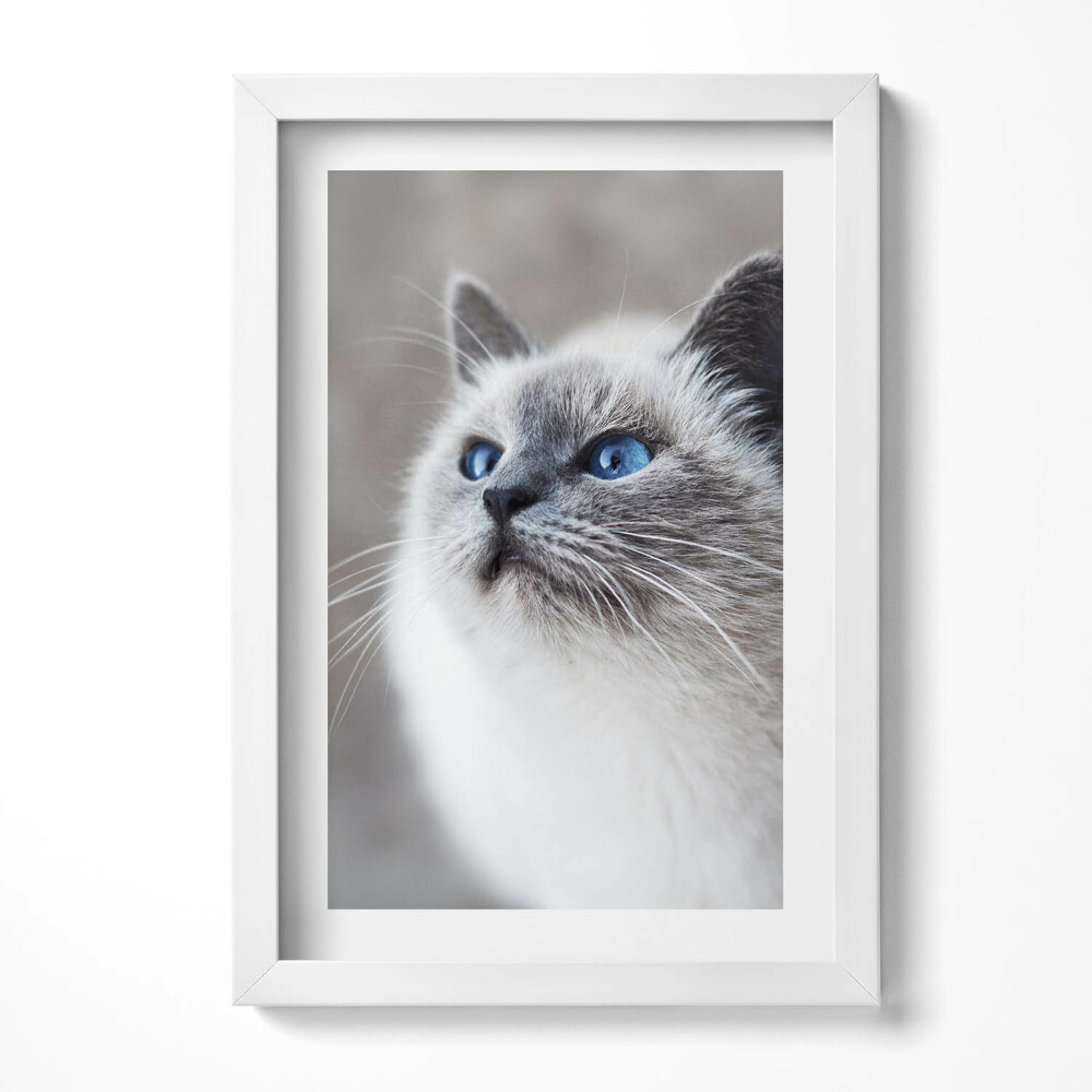 Tablou rama decorativ Un peisaj liniștit al unui lac de iarnă