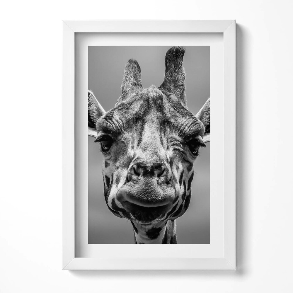 Tablou rama decorativ Cap de girafă alb-negru