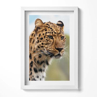 Tablou rama decorativ Cap de pisică de animal sălbatic