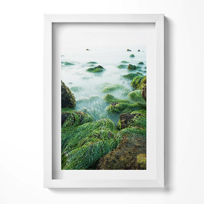 Tablou living cu rama decorativ Ierburi pe malul râului