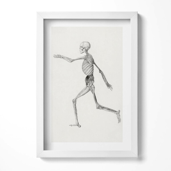 Tablou rama decorativ Un desen al unui schelet