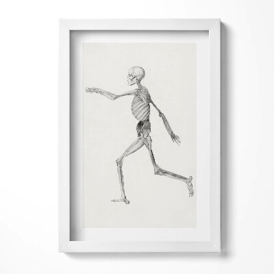 Tablou rama decorativ Un desen al unui schelet