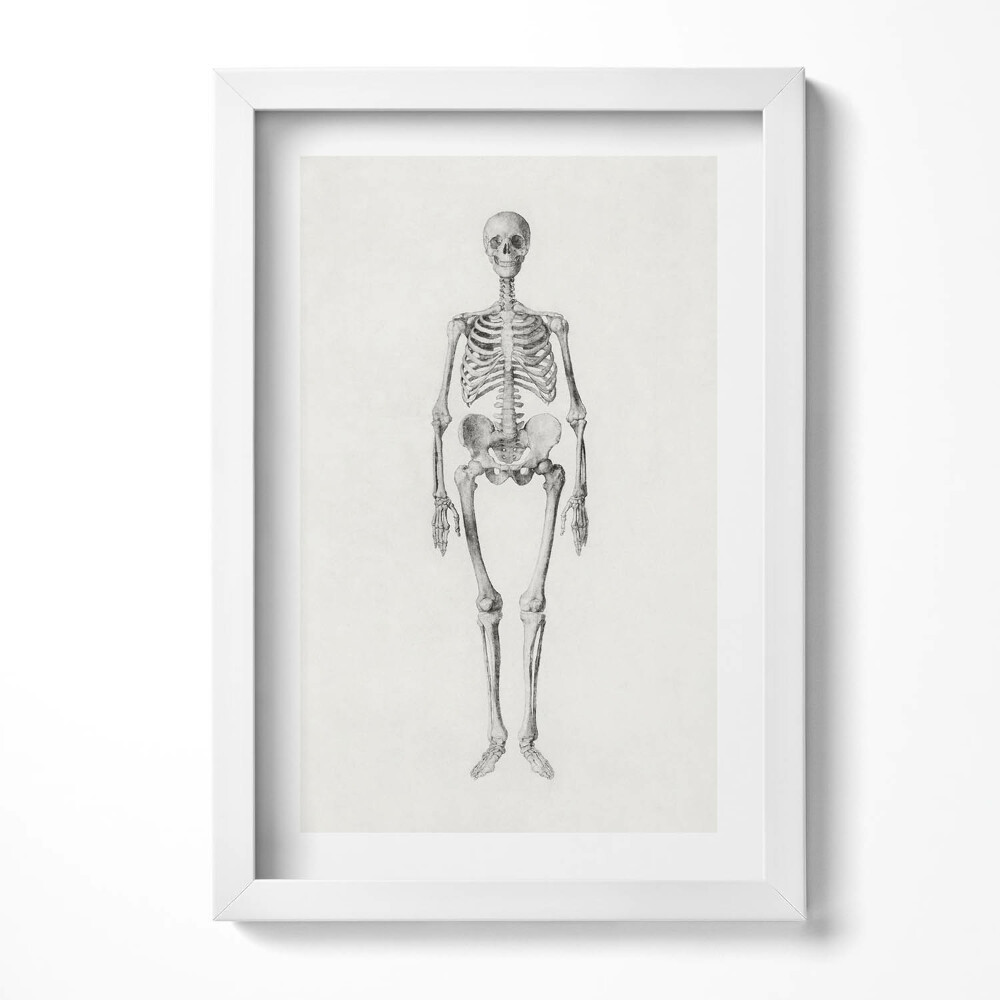 Tablou living cu rama decorativ Schiță ilustrativă a unui schelet