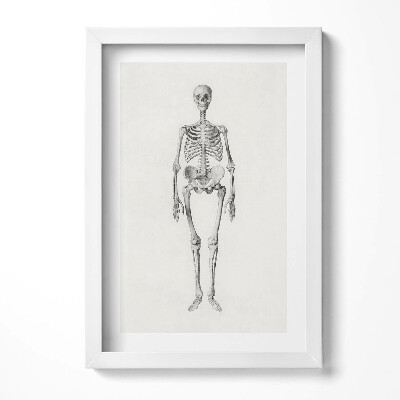 Tablou living cu rama decorativ Schiță ilustrativă a unui schelet