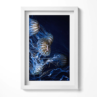 Tablou rama decorativ Meduze albastre în apă