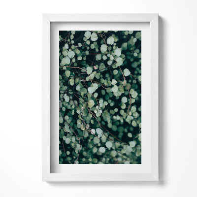 Tablou living cu rama decorativ Frunzele mici ale plantei