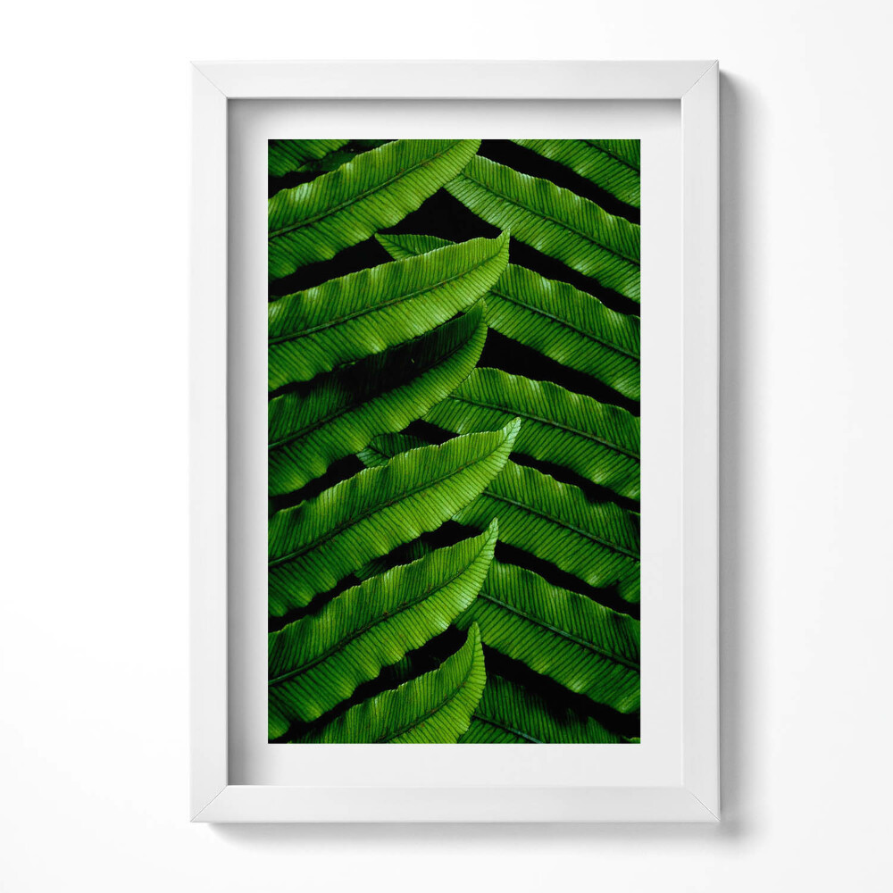 Tablou living cu rama decorativ Frunze verzi de aproape