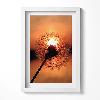 Tablou rama decorativ Păpădie la apus